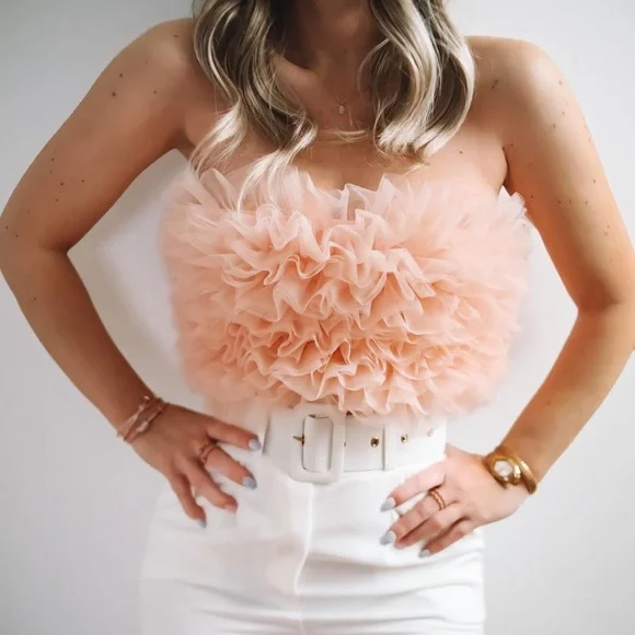Zara | Tops | Zara Tulle Crop Top Pink | Poshmark